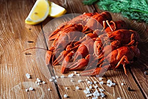 Boiled crayfish on a wooden table among spices, lemon and dill. The concept of food, beer snacks, relaxation in a bar