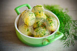 boiled early potatoes with butter and fresh dill in a bowl