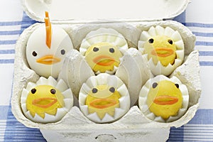 Boiled egg chickens in egg box