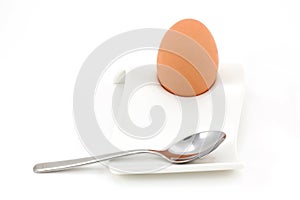 Boiled egg in egg holder with spoon