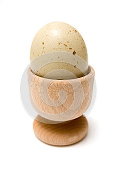 Boiled egg in eggcup
