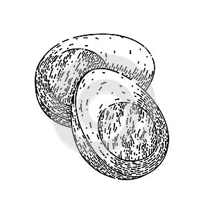 boiled egg sketch hand drawn vector