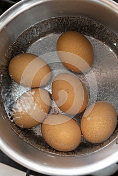 Boiled eggs in pot on the kitchen stove