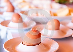 Boiled eggs served from white eggcups