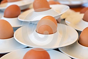 Boiled eggs served from white eggcups