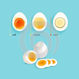 Boiled Eggs Stages Set