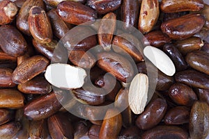 Boiled elater iospermum tapas blume seed