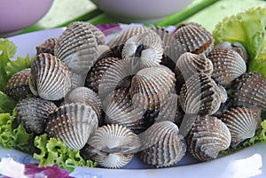 Boiled fresh cockles on lettuce vegetable for seafood serving