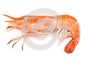 Boiled giant freshwater prawn