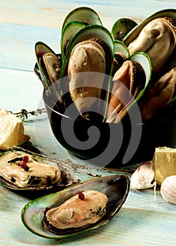 Boiled Green Mussels