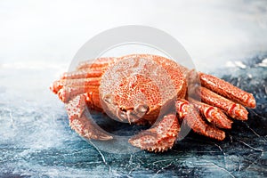 Boiled hairy or horsehair crab photo