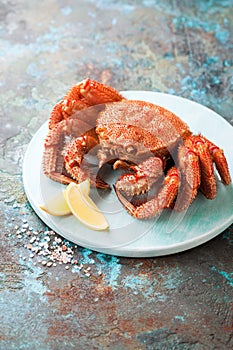 Boiled hairy or horsehair crab on a wooden plate