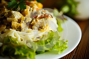 Boiled home-made noodles with gravy from eggplant