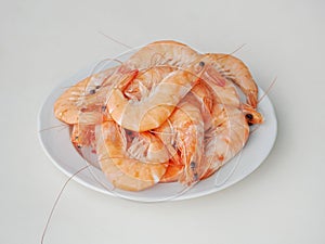 Boiled Langoustines on White Plate