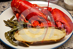 Boiled Lobster Dinner