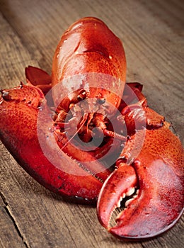 Boiled lobster on wooden table