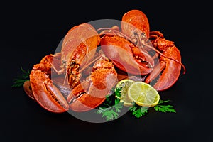 Boiled lobsters with lemon on black background