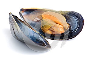 Boiled mussel