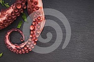 Boiled octopus on black stone background close-up.