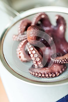 Boiled octopus photo