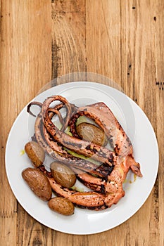 Boiled octopus with potato on white plate