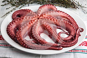 Boiled octopus photo