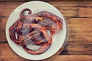 Boiled octopus on white plate on brown background