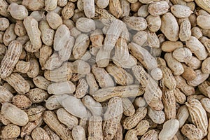 Boiled peanuts.