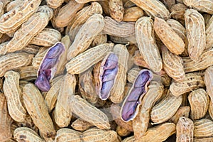 Boiled peanuts or the groundnut Snack for healthy person concept