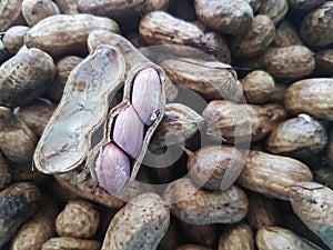 Boiled peanuts in opened shell