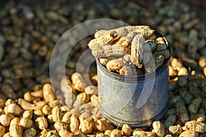 Boiled peanuts for sale in Thailand market.