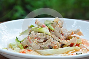 Boiled pork slice dressing with lime garlic and chili sauce salad on plate