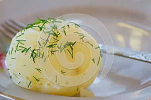 Boiled potaoe with dill