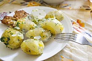 Boiled potatoes with parsley on a plate