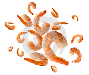 Boiled prawns levitate on a white background