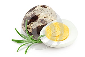 boiled quail egg isolated on white background with full depth of field