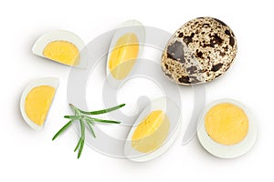 boiled quail egg isolated on white background with full depth of field. Top view. Flat lay