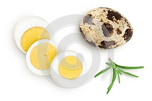 boiled quail egg isolated on white background with full depth of field. Top view. Flat lay