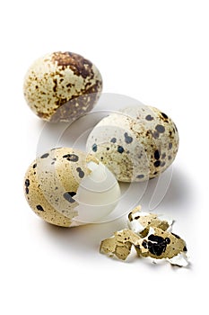 Boiled quail eggs