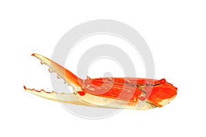 Boiled red crab claws