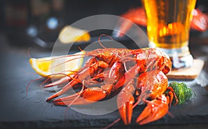 Boiled red crayfish or crawfish with a beer and herbs