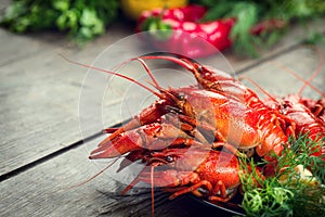 Boiled red crayfish or crawfish with a herbs