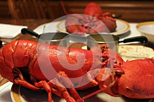 Boiled red lobster