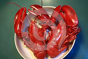 Boiled red lobsters