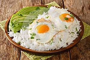 Boiled rice on top with fried eggs served with fresh avocado close-up in a plate. horizontal photo