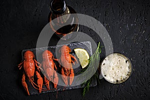 Boiled river crayfish with lemon and dill on slate and bottle with glass of foam beer.