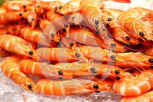 Boiled shrimp on ice