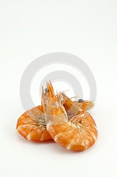 Boiled shrimp