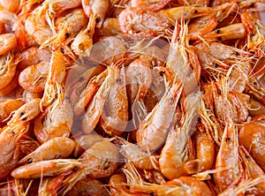 Boiled shrimps background