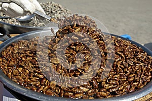 Boiled silkworm pupae photo